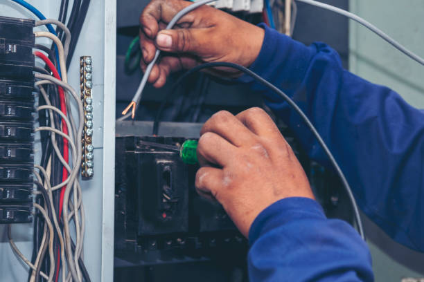 Best Affordable Electrician  in Elm City, NC